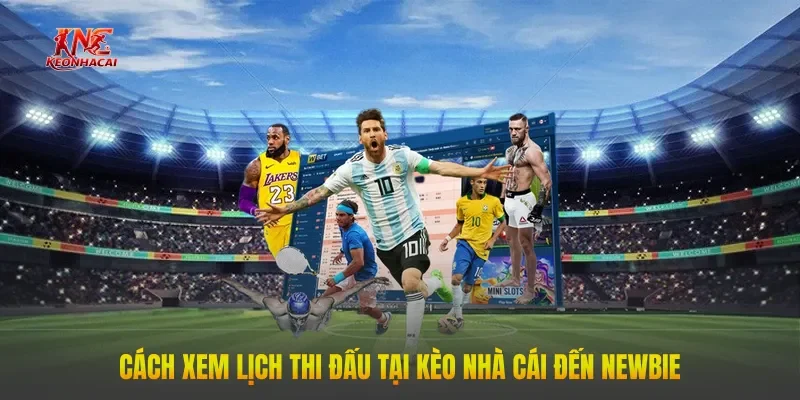 Cách xem lịch thi đấu tại Kèo Nhà Cái đến newbie