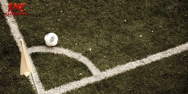 Chọn tỷ lệ chính xác giúp khả năng ăn cược cao hơn