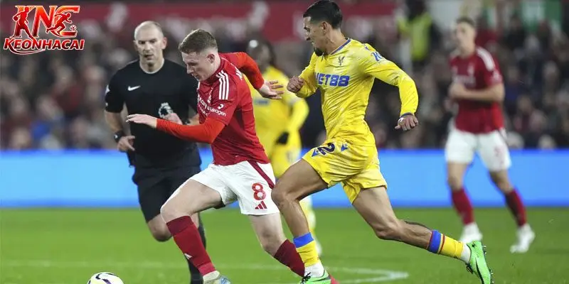lich su doi dau giua nottingham vs crystal palace dang ung ho chu nha Lịch sử đối đầu giữa Nottingham vs Crystal Palace đang ủng hộ chủ nhà