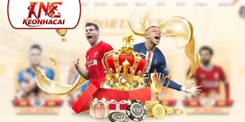 dich vu cham soc hoat dong chuyen nghiep Dịch vụ chăm sóc hoạt động chuyên nghiệp